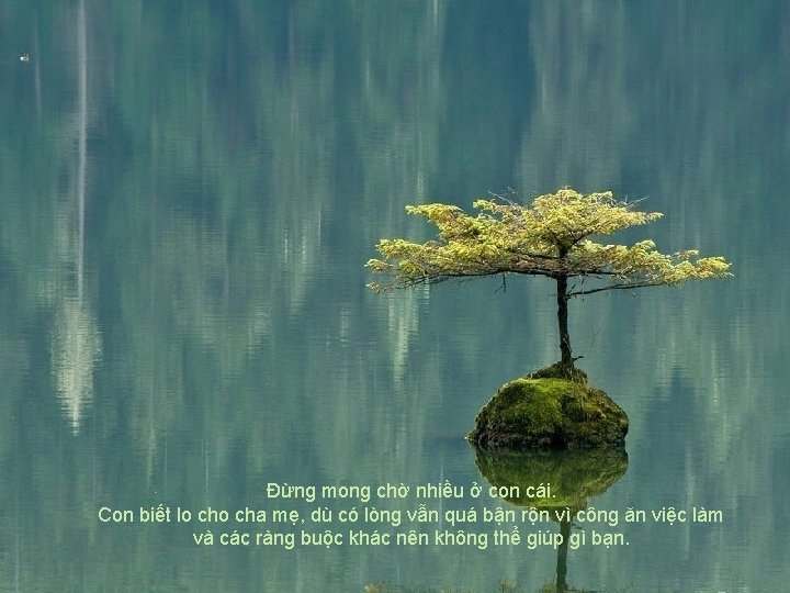 Đừng mong chờ nhiều ở con cái. Con biết lo cha mẹ, dù có