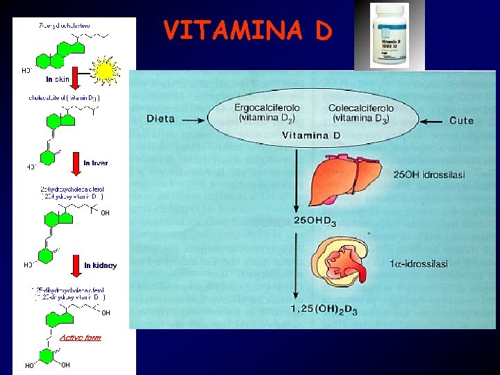 VITAMINA D 