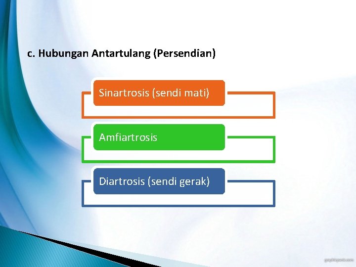 c. Hubungan Antartulang (Persendian) Sinartrosis (sendi mati) Amfiartrosis Diartrosis (sendi gerak) 