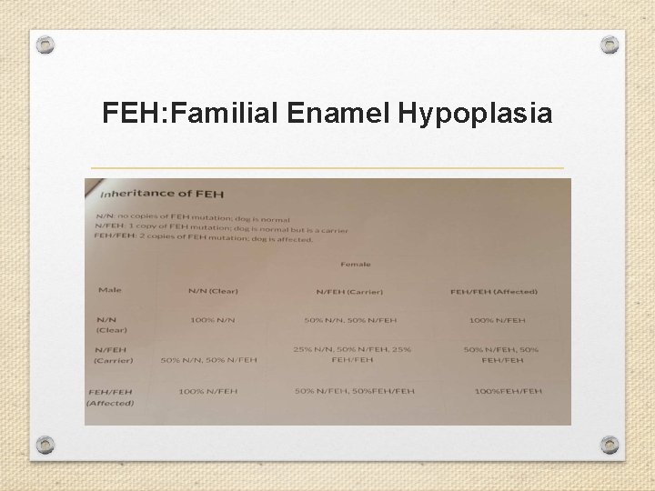 FEH: Familial Enamel Hypoplasia 