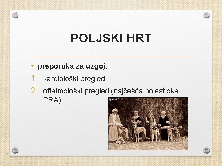 POLJSKI HRT • preporuka za uzgoj: 1. kardiološki pregled 2. oftalmološki pregled (najčešća bolest