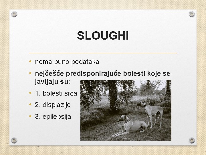 SLOUGHI • nema puno podataka • nejčešće predisponirajuće bolesti koje se javljaju su: •