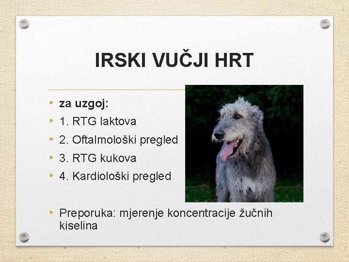 IRSKI VUČJI HRT • • • za uzgoj: 1. RTG laktova 2. Oftalmološki pregled