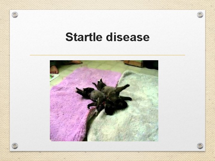 Startle disease 