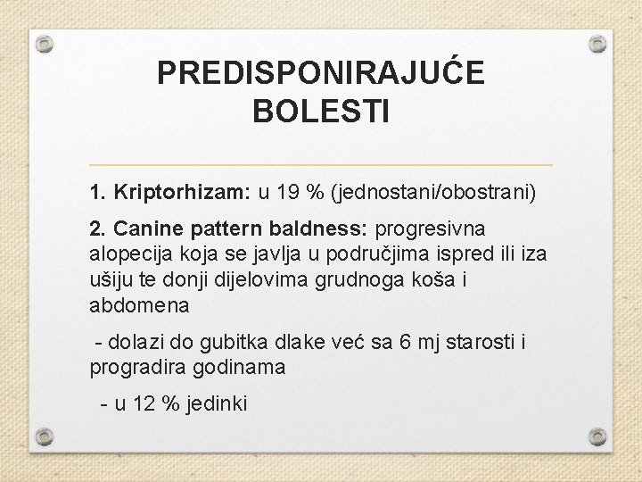 PREDISPONIRAJUĆE BOLESTI 1. Kriptorhizam: u 19 % (jednostani/obostrani) 2. Canine pattern baldness: progresivna alopecija