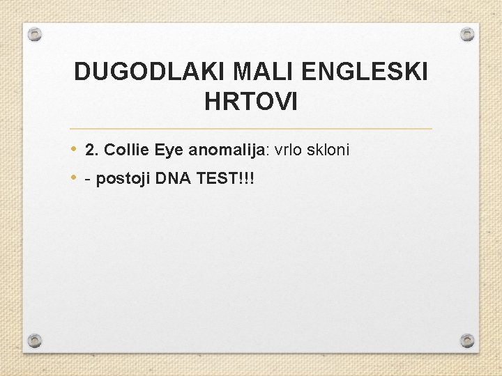 DUGODLAKI MALI ENGLESKI HRTOVI • 2. Collie Eye anomalija: vrlo skloni • - postoji