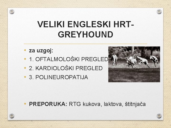 VELIKI ENGLESKI HRTGREYHOUND • • za uzgoj: 1. OFTALMOLOŠKI PREGLED 2. KARDIOLOŠKI PREGLED 3.