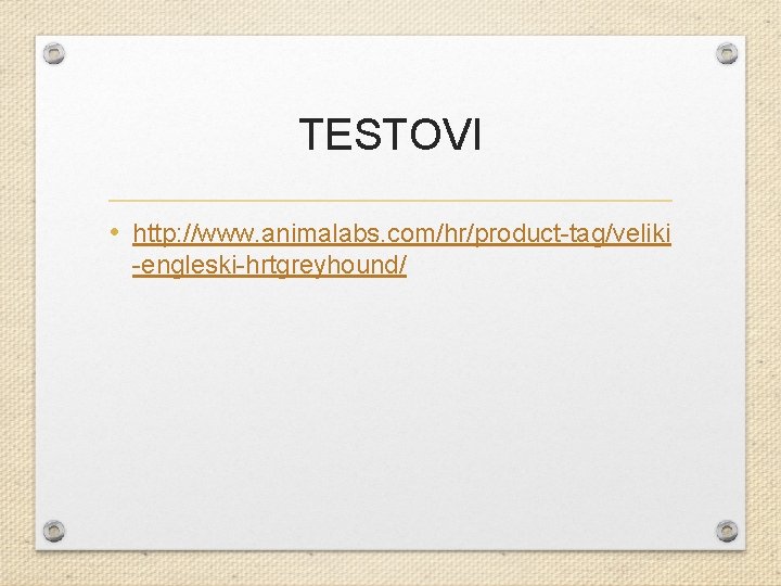 TESTOVI • http: //www. animalabs. com/hr/product-tag/veliki -engleski-hrtgreyhound/ 