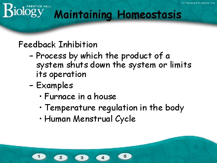 Maintaining Homeostasis Feedback Inhibition – Process by which the product of a system shuts