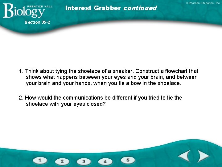 Interest Grabber continued Section 35 -2 1. Think about tying the shoelace of a