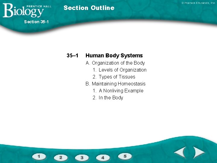 Section Outline Section 35 -1 35– 1 Human Body Systems A. Organization of the