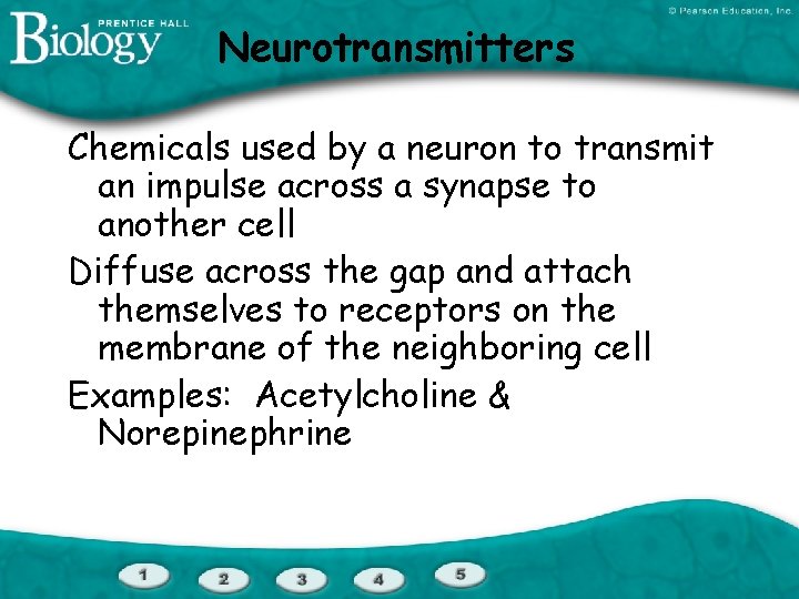 Neurotransmitters Chemicals used by a neuron to transmit an impulse across a synapse to
