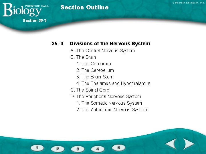 Section Outline Section 35 -3 35– 3 Divisions of the Nervous System A. The