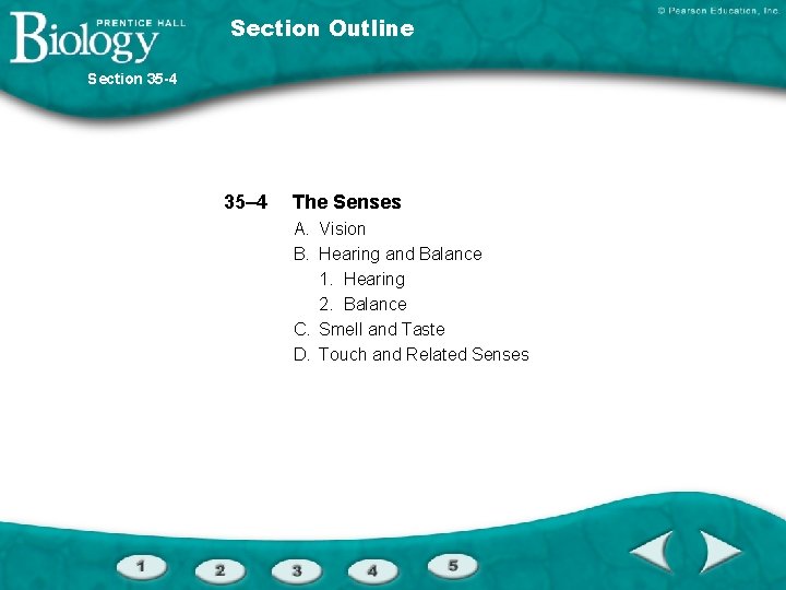 Section Outline Section 35 -4 35– 4 The Senses A. Vision B. Hearing and