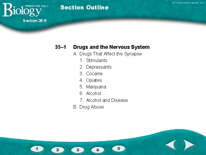 Section Outline Section 35 -5 35– 1 Drugs and the Nervous System A. Drugs