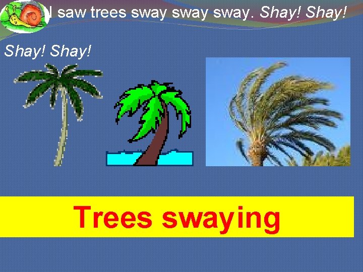 I saw trees sway. Shay! Trees swaying 