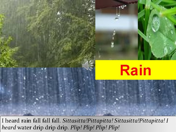 Rain I heard rain fall. Sittasitta!Pittapitta! I heard water drip. Plip! 