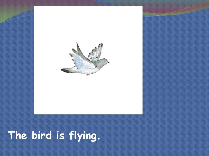 The bird is flying. 