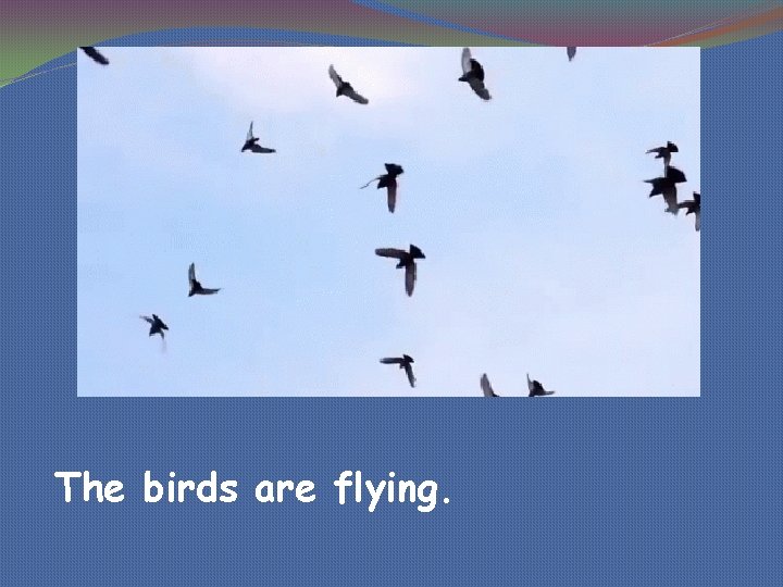 The birds are flying. 