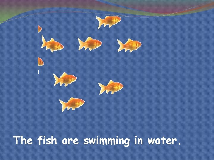 The fish are swimming in water. 