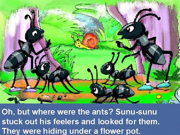 Oh, but where were the ants? Sunu-sunu stuck out his feelers and looked for