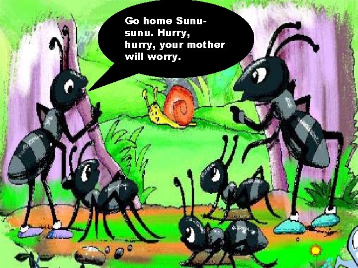 Go home Sunusunu. Hurry, hurry, your mother will worry. 