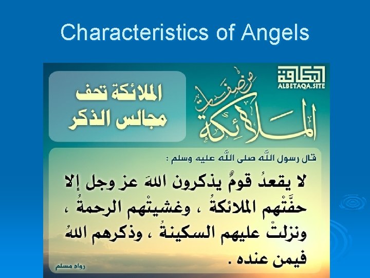 Characteristics of Angels 