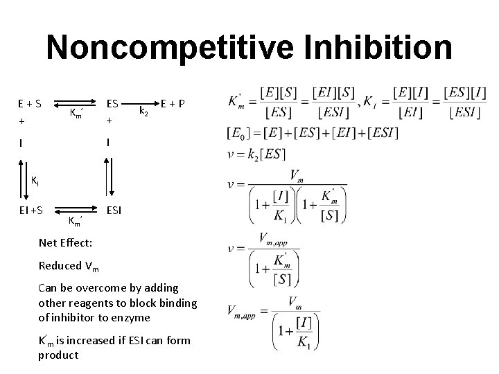 Noncompetitive Inhibition E+S + Km’ ES + k 2 E+P I I KI EI