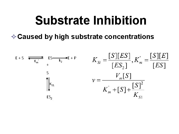Substrate Inhibition Caused by high substrate concentrations E+S Km’ ES + S KS 1