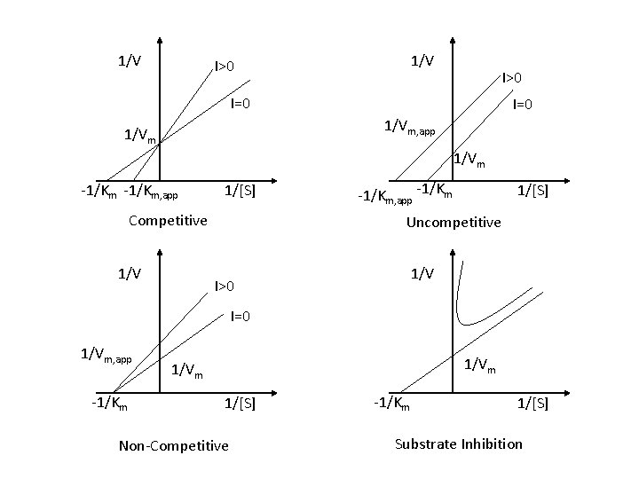 1/V I>0 I=0 1/Vm, app 1/Vm -1/Km, app 1/[S] Competitive 1/V -1/Km, app -1/Km