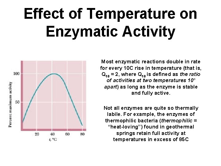Effect of Temperature on Enzymatic Activity Most enzymatic reactions double in rate for every