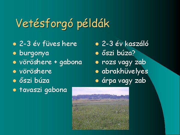 Vetésforgó példák l l l 2 -3 év füves here burgonya vöröshere + gabona