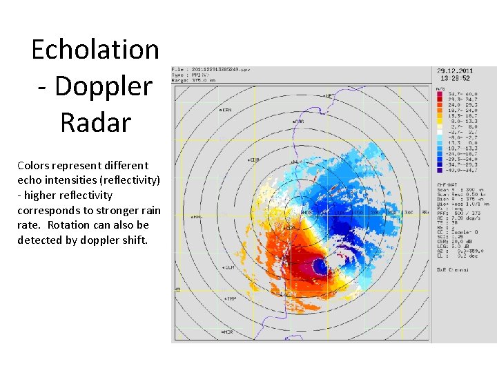 Echolation - Doppler Radar Colors represent different echo intensities (reflectivity) - higher reflectivity corresponds