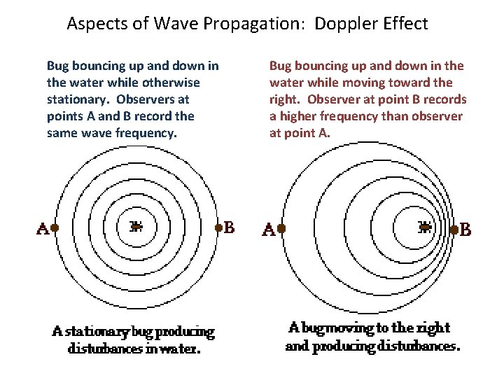 Aspects of Wave Propagation: Doppler Effect Bug bouncing up and down in the water
