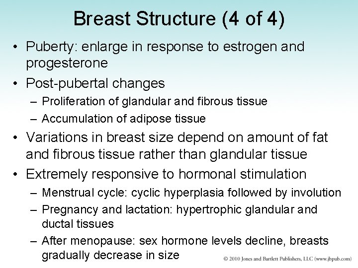Breast Structure (4 of 4) • Puberty: enlarge in response to estrogen and progesterone