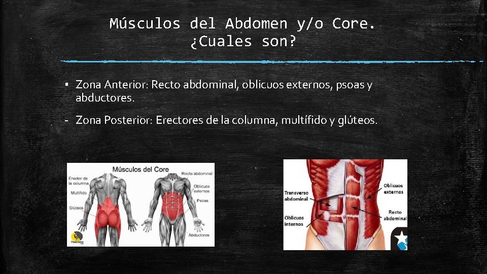 Músculos del Abdomen y/o Core. ¿Cuales son? ▪ Zona Anterior: Recto abdominal, oblicuos externos,