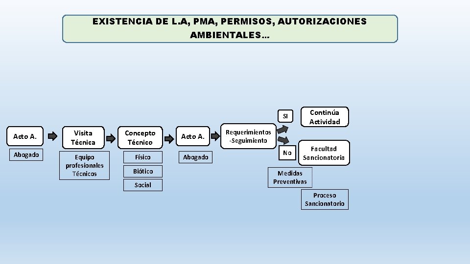 EXISTENCIA DE L. A, PMA, PERMISOS, AUTORIZACIONES AMBIENTALES… Acto A. Abogado Visita Técnica Equipo