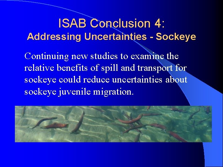 ISAB Conclusion 4: Addressing Uncertainties - Sockeye Continuing new studies to examine the relative