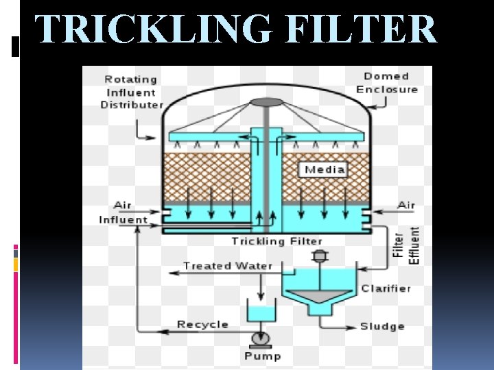 TRICKLING FILTER 