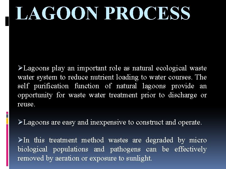 LAGOON PROCESS ØLagoons play an important role as natural ecological waste water system to