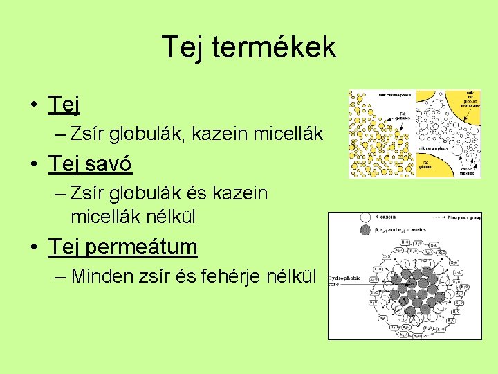 Tej termékek • Tej – Zsír globulák, kazein micellák • Tej savó – Zsír