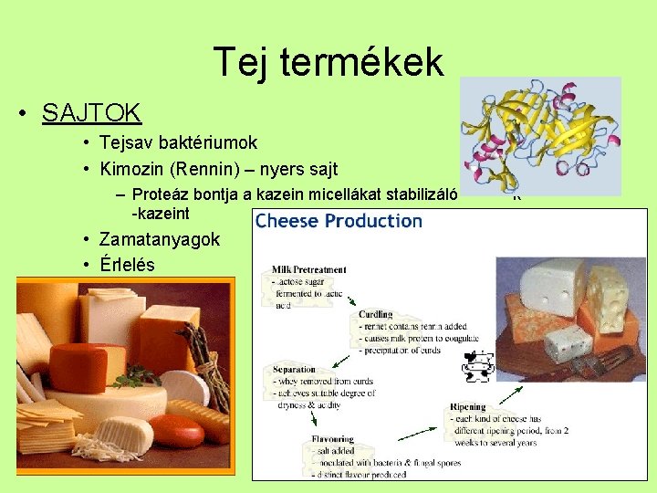 Tej termékek • SAJTOK • Tejsav baktériumok • Kimozin (Rennin) – nyers sajt –