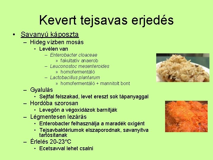 Kevert tejsavas erjedés • Savanyú káposzta – Hideg vízben mosás • Levélen van –