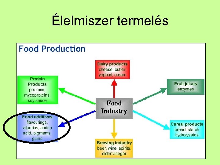 Élelmiszer termelés 