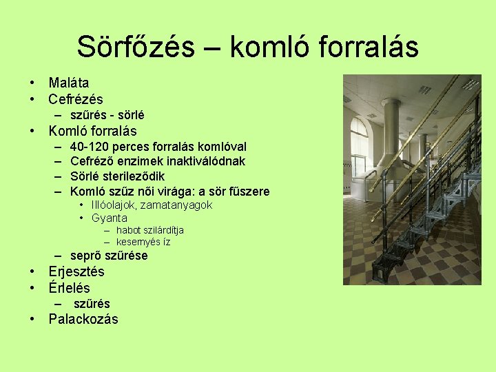 Sörfőzés – komló forralás • Maláta • Cefrézés – szűrés - sörlé • Komló