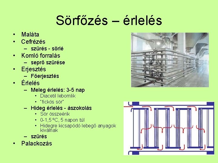 Sörfőzés – érlelés • Maláta • Cefrézés – szűrés - sörlé • Komló forralás