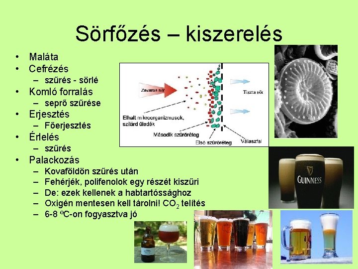 Sörfőzés – kiszerelés • Maláta • Cefrézés – szűrés - sörlé • Komló forralás