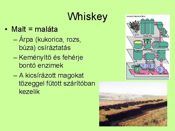 Whiskey • Malt = maláta – Árpa (kukorica, rozs, búza) csíráztatás – Keményítő és