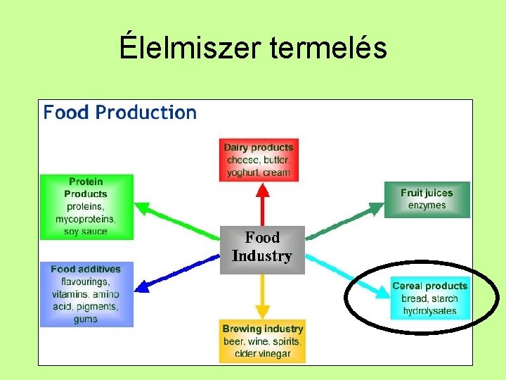 Élelmiszer termelés 