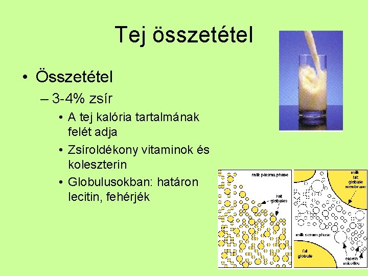 Tej összetétel • Összetétel – 3 -4% zsír • A tej kalória tartalmának felét